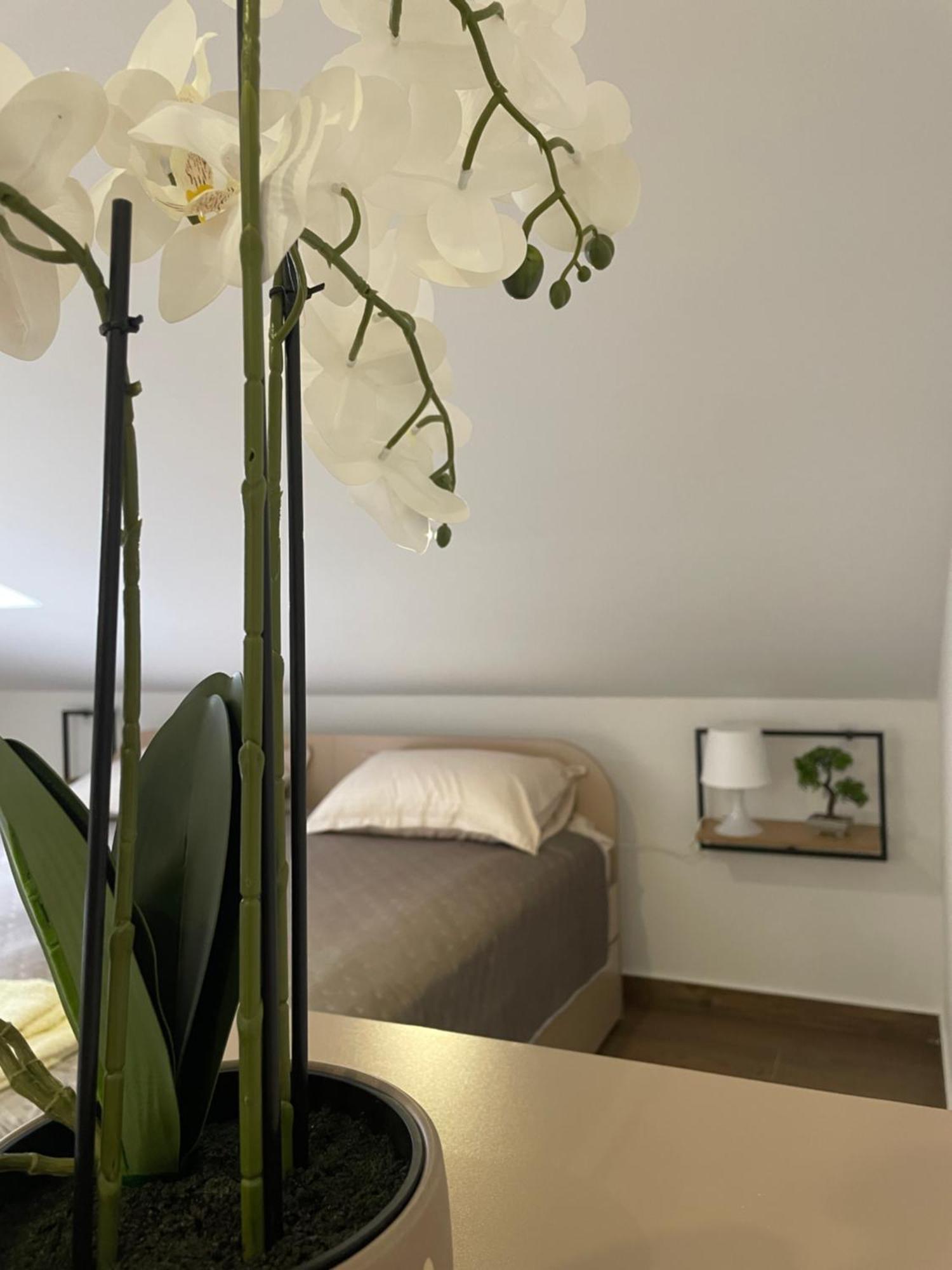 Joy Apartment 6 Белград Екстериор снимка